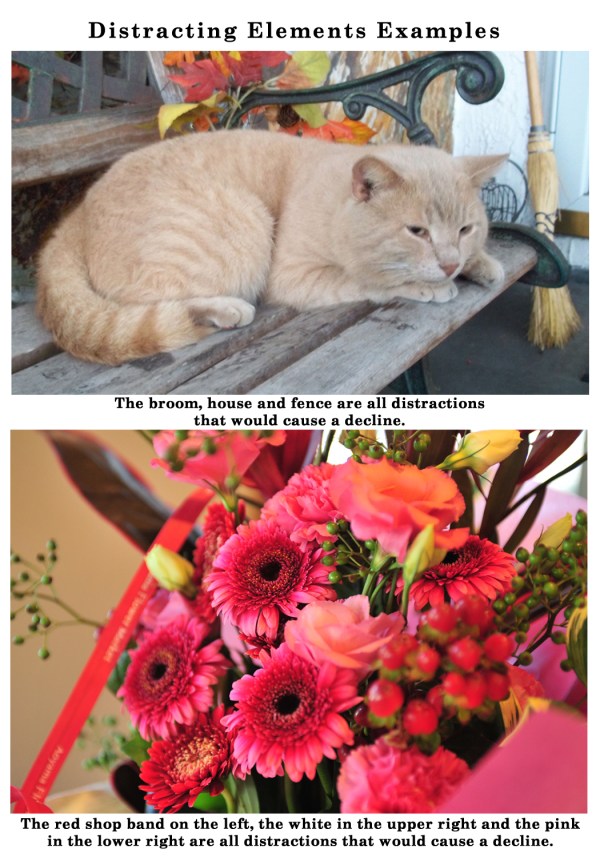 Image_1_04222013 - one