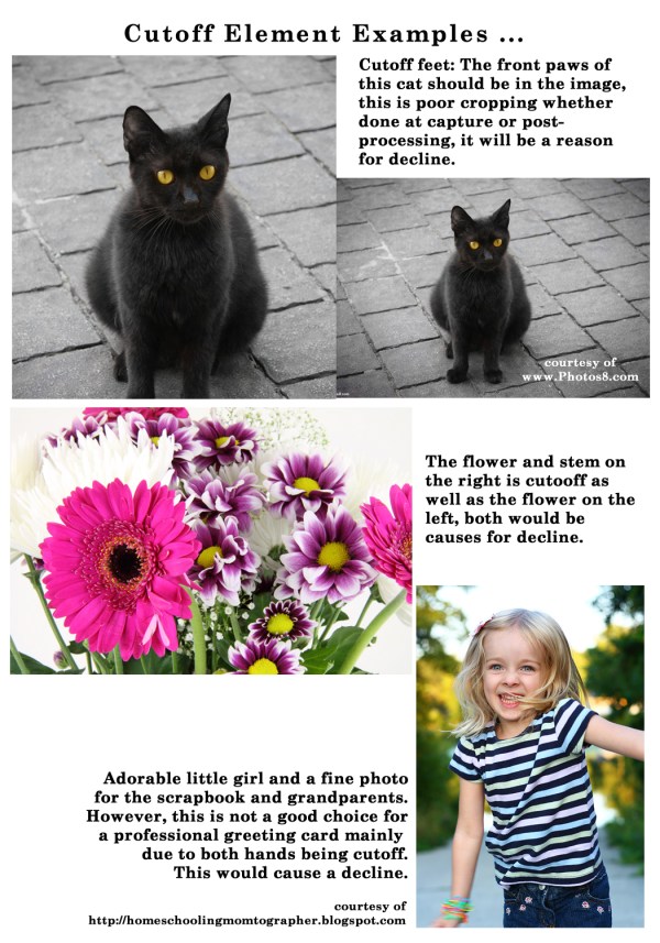 Image_1_04292013 - a one