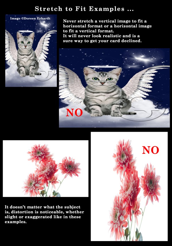 Image_5_05062013 - five b