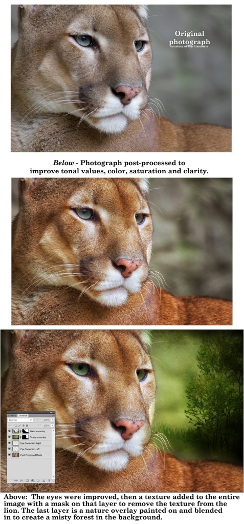 Image_1_ExampleOverlays_01132014