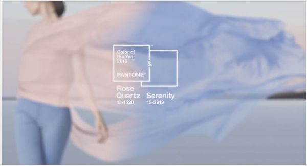 FireShot Screen Capture #493 - 'Pantone Color of the Year 2016 - Rose Quartz and Serenity' - www_pantone_com_color-of-the-year-2016