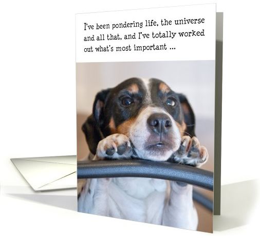 FireShot Screen Capture #518 - 'Birthday Card - Humorous Dog Pondering Life card (845046)' - www_greetingcarduniverse_com_humor-birthday-cards_birthday-card-humorous-dog-845046