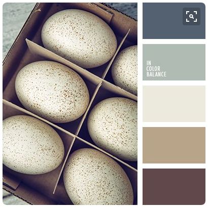 FireShot Screen Capture #572 - 'Pinterest_ Discover and save creative ideas' - nl_pinterest_com_pin_370843350542570055