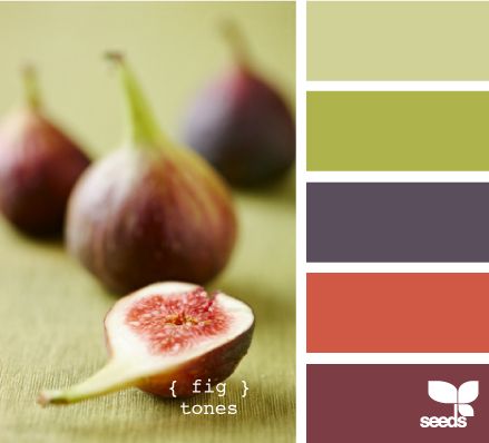 70409c86bdf6405230d1bebebfcd008f