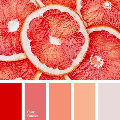 730a4ef81e1ed537d687d531e4c9a3b4