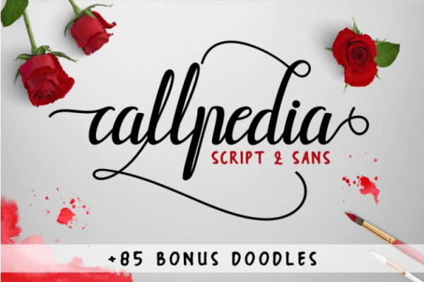 the-callpedia-font-duo-by-thehungryjpeg-thehungryjpeg-com-2