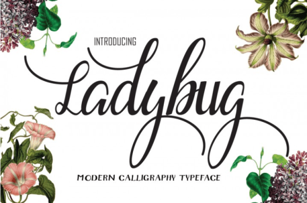 the-free-ladybug-font-by-thehungryjpeg-thehungryjpeg-com