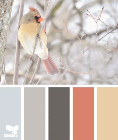 221ab0f5bfe05d43e418efe7f9cdc391