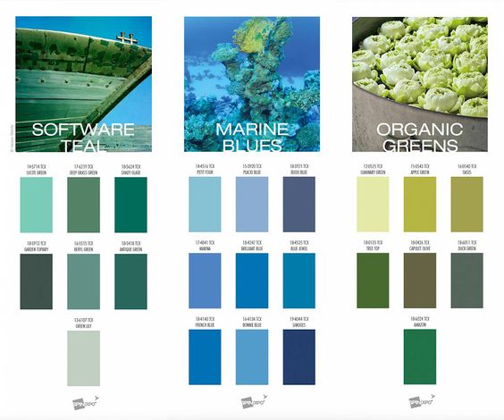 15100b6e4fae307e42d11aa13d46de87