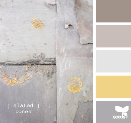 ab9e8731d387040b0c83656d8a569aa1