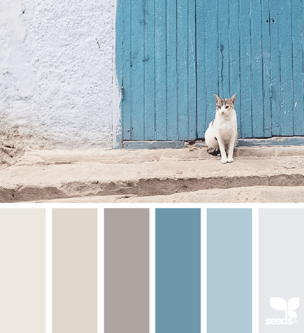 1_11_2creaturecolor_judith