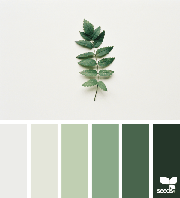 1_15_naturetones_theflowercult_kyla