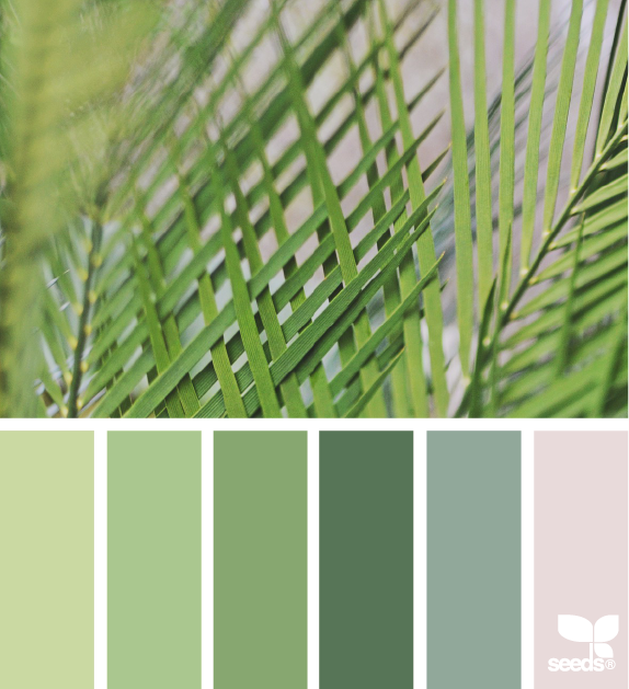 1_17_2colornature_pixel-gypsy_