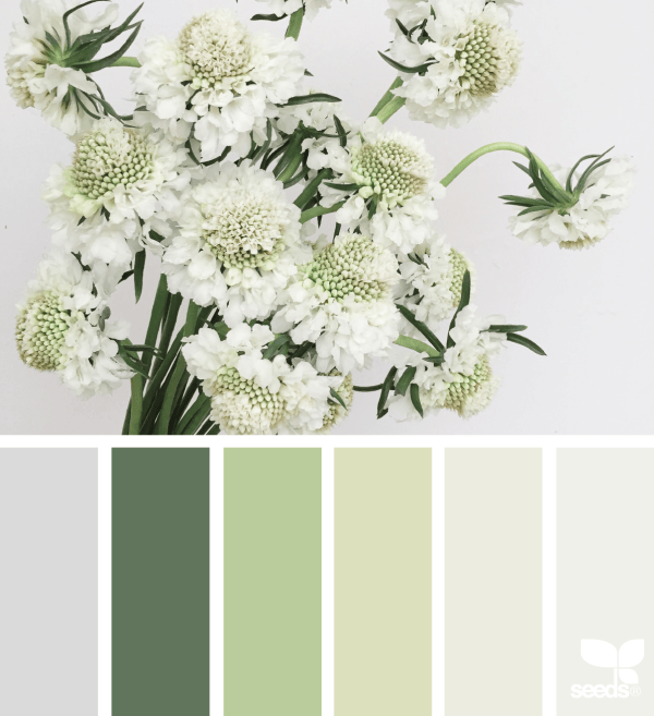 1_6_2floratones_heather_page
