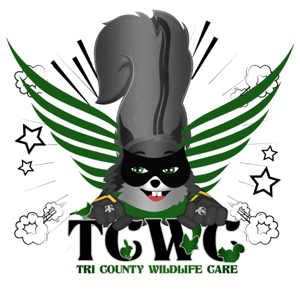 superheromascot_blackpow_withlogo_fullsize_2016