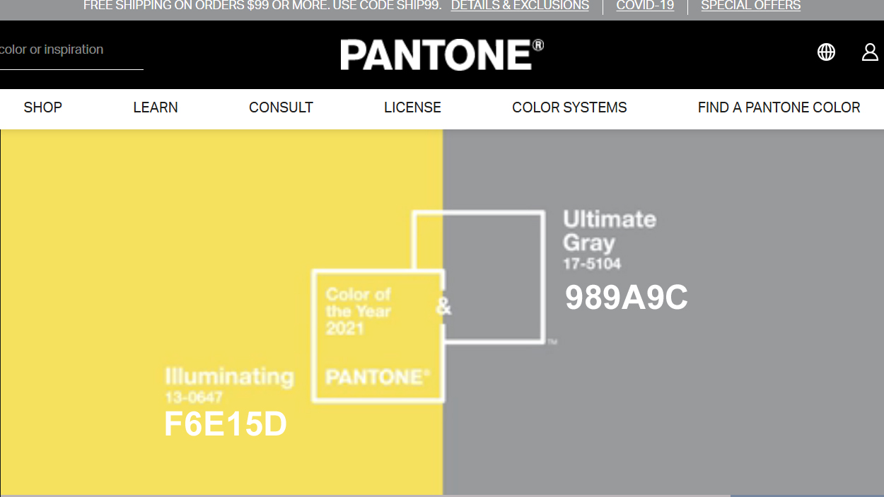 PANETONE-COLOR-oftheyear-2021