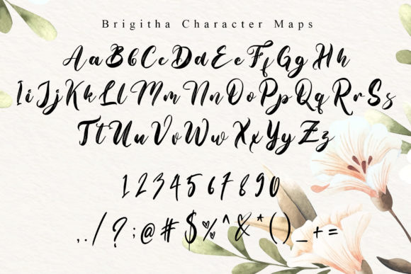 Brigitha-Fonts-7738026-7-580x387