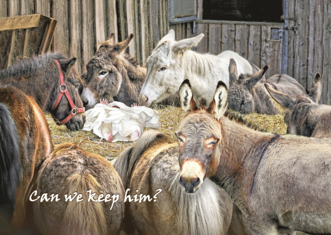 FireShot Capture 7204 - Image comparison tool - www.greetingcarduniverse.com