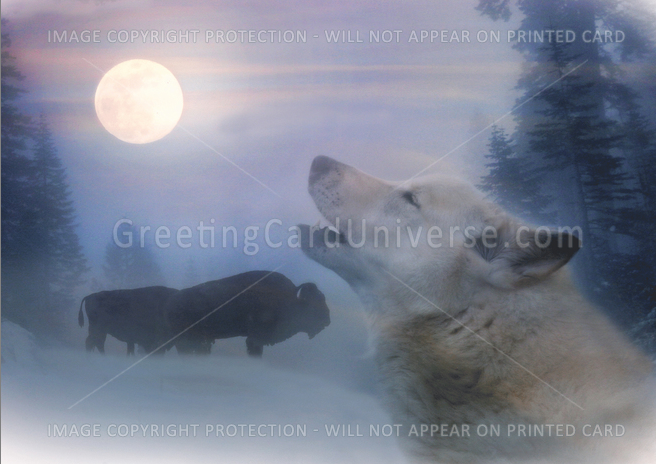 Firefox_Screenshot_2021-11-19T12-25-09.074Z