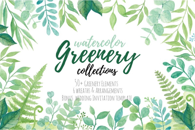 800_3523884_qi66t8km59y8ie0gokegca1v6wetr1v7dodxuxfc_free-watercolor-greenery-collection