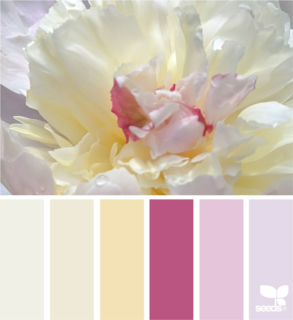 4_21_Peony_Tones