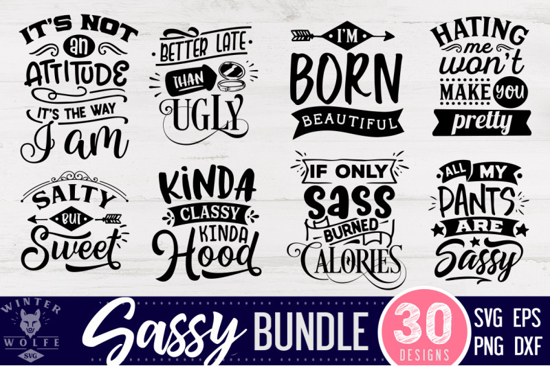 800_3523911_v2xi486vsb91cyp1w8cm5k3nvwmvez8midw5ui9z_free-sassy-bundle-30-designs-svg-eps-dxf-png