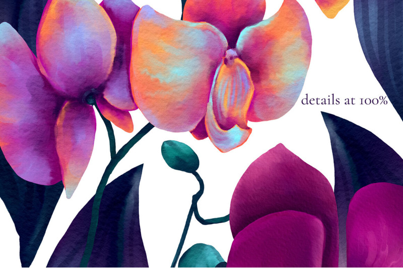 800_3523981_5tmonod8jjf6w6unilqc3hsrcittxe3kq57fjrmv_free-vibrant-orchid-watercolor-collection