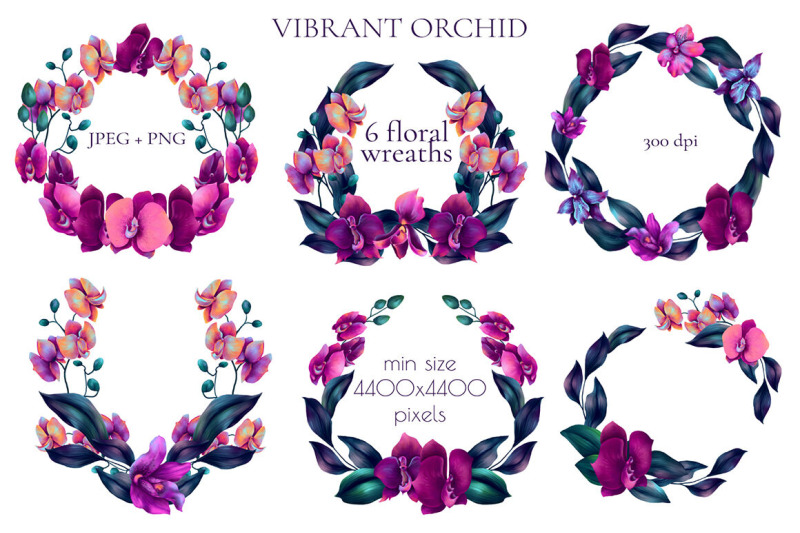 800_3523981_qgc5xdcbc821988lmlkhca8r7fvu19esfagxqokf_free-vibrant-orchid-watercolor-collection