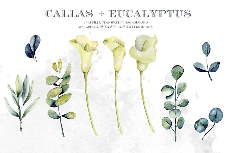 800_3524008_mq0heujenmqjuvd0wipbe70wsm5bd16ptxyi1ipa_free-royal-flowers-watercolor-clipart