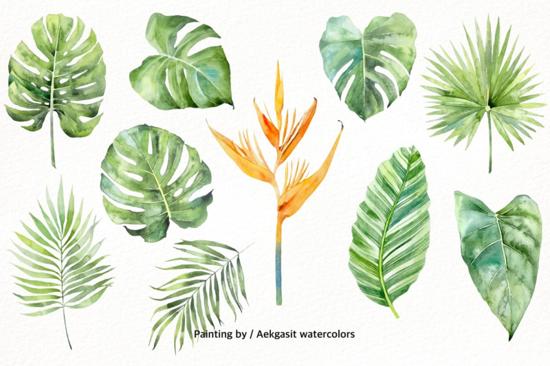 800_3524011_4bxb2irk5ffclj9yktm97j6dpys59xc2fx9pe5yx_free-tropical-garden-watercolor-illustration