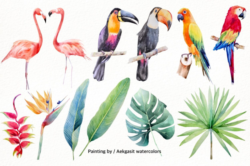 800_3524011_ah7qo5il4uvd1g0w2h1lt6vanjnmtt1errgjvia6_free-tropical-garden-watercolor-illustration