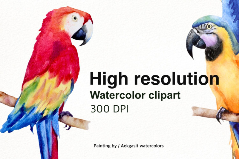 800_3524011_hrxn7kwqddiwxejzvdq260xk52i1en0q4lefljbv_free-tropical-garden-watercolor-illustration