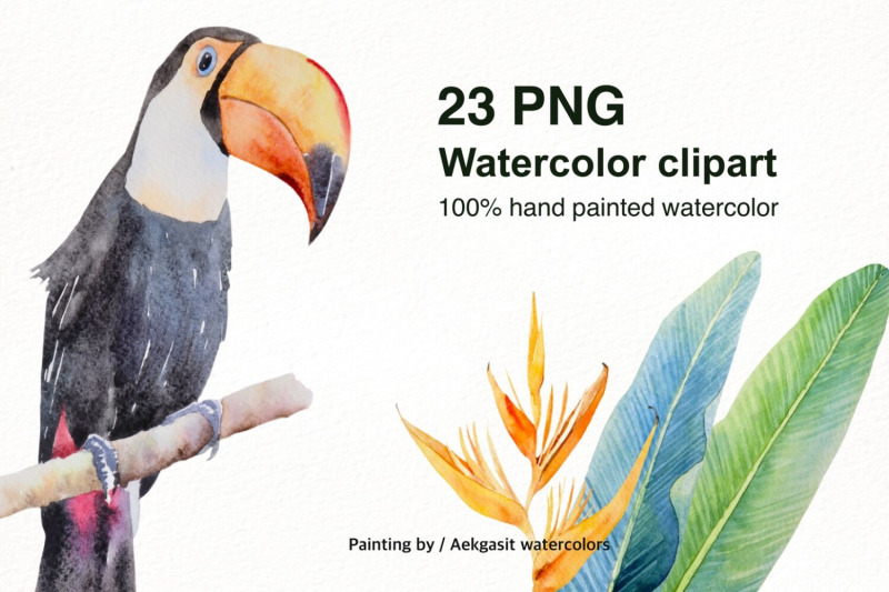 800_3524011_l9mfemde9qxlz8jjtbp90jfpge5ttxhfzcg36mbv_free-tropical-garden-watercolor-illustration