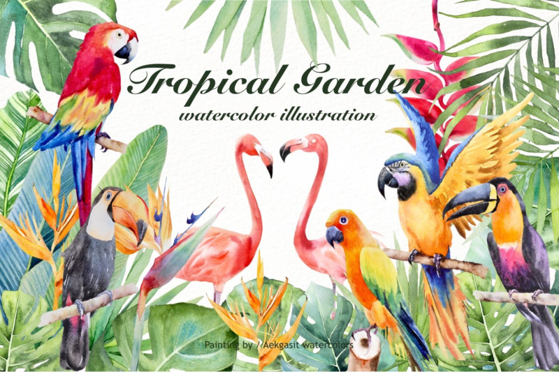 800_3524011_x5zh4wrwql138bf1pgr88r5a9b76wdp69bdb3wlw_free-tropical-garden-watercolor-illustration