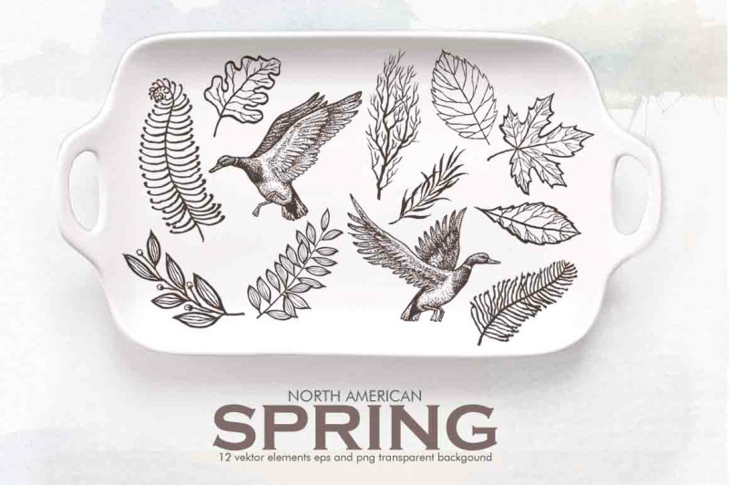 800_3524046_bh2d29yb2nk1boahlu0v5qnlt6dk3sjcrubqk371_free-watercolor-north-american-spring