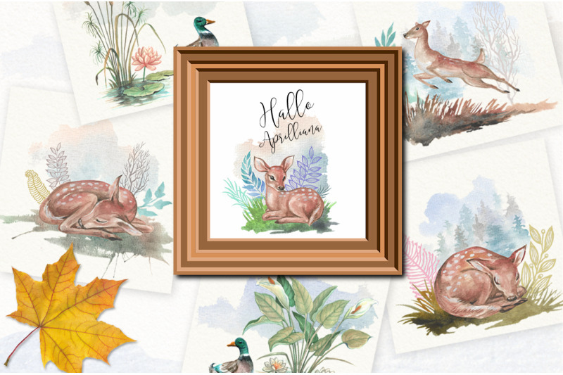 800_3524046_r7rsbpbefyhv7b64nh9j1al96446c0470fmjg1vk_free-watercolor-north-american-spring