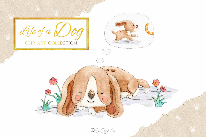 800_3524060_uhv7fklj37kvmcuj0n220l1nj0bm44c9h39x5ugt_free-life-of-a-dog-watercolor-elements