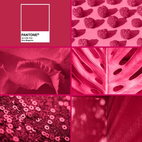 6d50bbbab520a344a8513332545b6baa