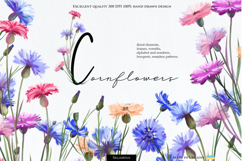 800_3524214_6pg9n6hzp2h6kqapy8sw1fa62wipfkuxum8xjshz_free-cornflowers-collection