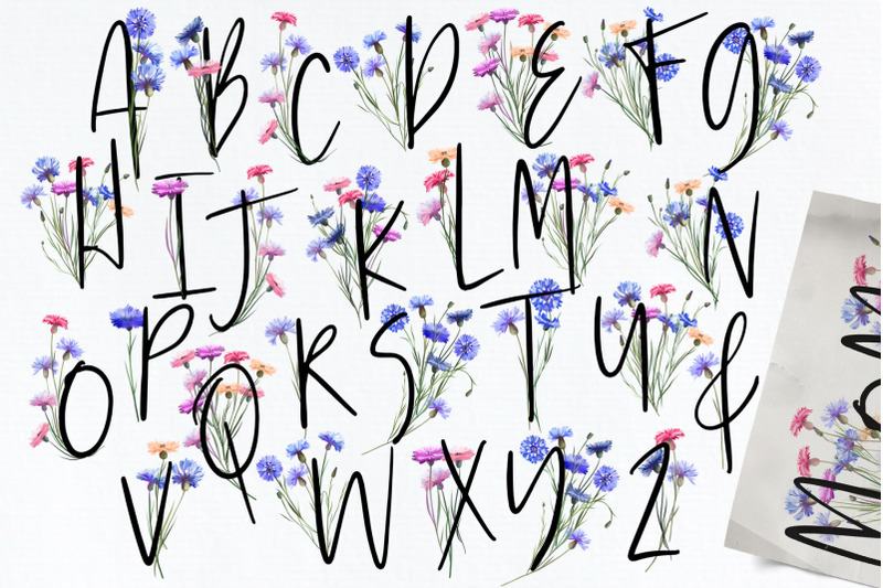 800_3524214_s51zfx4yw7o5xcqhb10t6zurtedllcbeixuu6n2f_free-cornflowers-collection