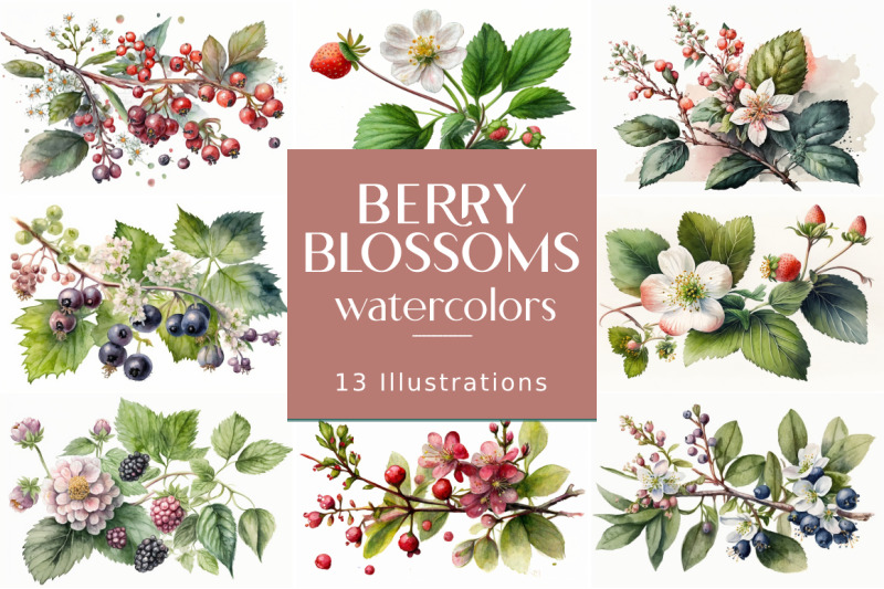 800_3524282_zlgko08xlppdeqcgbe0vetervjsc3l744y1qafb3_free-berry-blossoms-watercolors