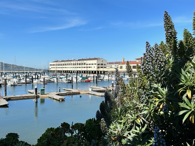 ForMasonMarinaGreen 10